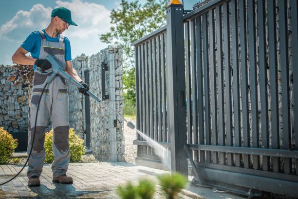 Best Driveway Cleaning and Restoration in Burgaw, NC