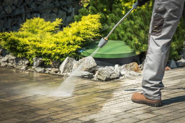 Best Window and Screen Pressure Cleaning in Burgaw, NC