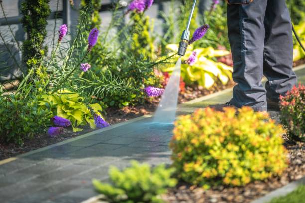  Burgaw, NC Pressure Washing Pros